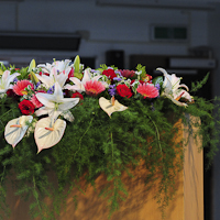 IDEERS2011-003.jpg